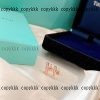 ブレスレット Tiffany スーパー コピー 通販 代引きxljzss88116 - 画像 (6)