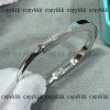 ピアス Tiffany n 級 品 ブランド コピー 通販 代引きxljzss88032 - 画像 (7)