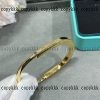 ピアス Tiffany n 級 品 ブランド コピー 通販 代引きxljzss88032 - 画像 (8)