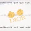 ピアス dior ブランド コピー 偽物 後払いxljzss88229 - 画像 (6)