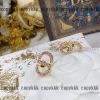 ピアス ディオール ブランド コピー n 級 品 激安 後払いxljzss88234 - 画像 (2)
