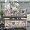 トートバッグ dior ブランド コピー 通販 後払い - nsvb45969 - 画像 (9)