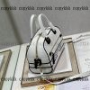 ブランド コピー ディオール ハンドバッグ 後払い 通販 - nsvb45703 - 画像 (5)