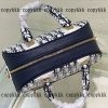 ブランド コピー dior ハンドバッグ 後払い 格安 - nsvb45798 - 画像 (5)