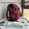 burberry バックパック n 級 品 スーパー コピー 激安 偽物 - bsnag73385 - 画像 (2)