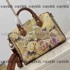 ハンドバッグ louis vuitton ブランド コピー 通販 後払い - nsvb31775 - 画像 (2)