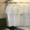 スーパー コピー グッチ 半袖 偽物 激安 - dsyya75555 - 画像 (3)