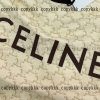 celine Tシャツ スーパー コピー 通販 後払い - nsuya37295 - 画像 (3)