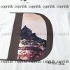 ディオール 半袖 ブランド コピー 通販 n 級 品 - dsyya75734 - 画像 (4)