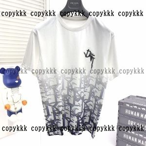 dior ブランド コピー Tシャツ 後払い 激安 - dsyya75601