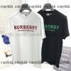 半袖 ブランド コピー バーバリー n 級 品 格安 - dsyya75308