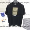 バーバリー ブランド コピー 半袖 格安 通販 - dsyya75317 - 画像 (15)