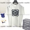 Tシャツ スーパー コピー loewe 偽物 通販 - dsyya75427