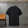 スーパー コピー loewe 半袖 偽物 通販 - dsyya75436 - 画像 (2)