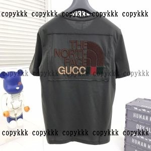半袖 THE NORTH FACE ブランド コピー 通販 格安 - snpau11843