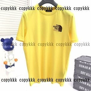 THE NORTH FACE Tシャツ ブランド コピー 後払い n 級 品 - snpau11845