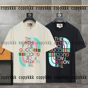 Tシャツ ブランド コピー THE NORTH FACE 格安 通販 - snpau11856