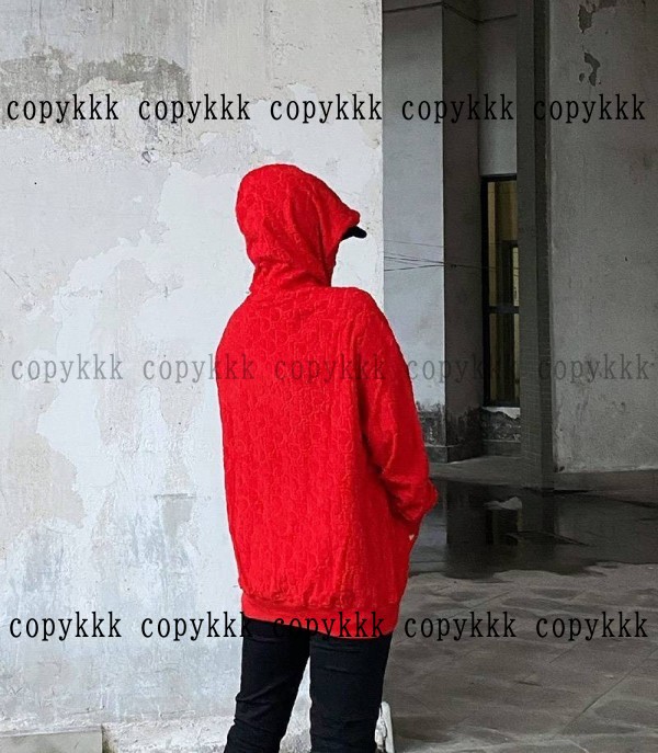 パーカー スーパー コピー dior 激安 n 級 品 - cxlc21313 - 画像 (9)