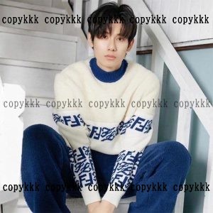 fendi ブランド コピー パーカー 代引き 偽物 - cxmja21749